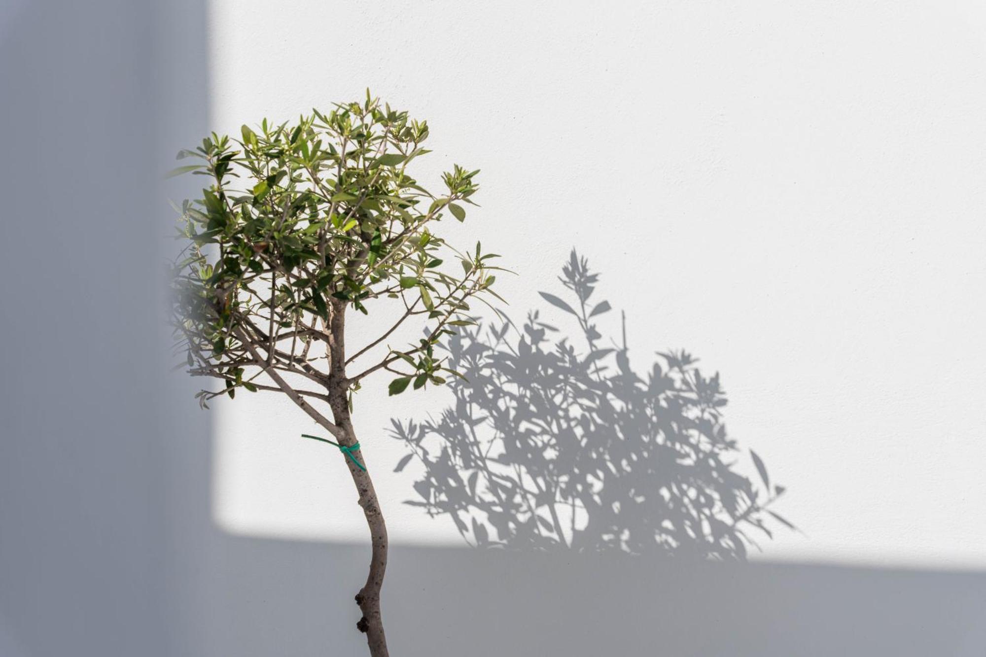 Cycladic Suites & Spa Fira  Exterior foto